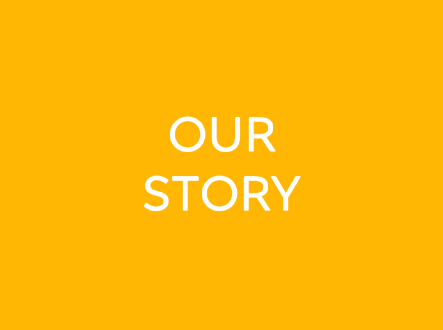 Our story link