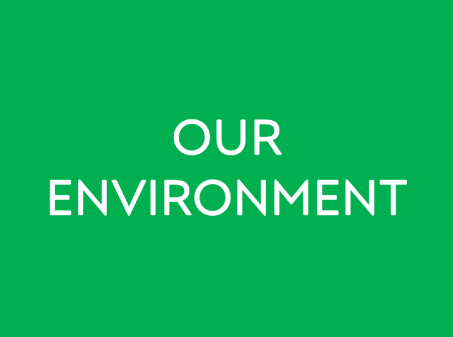Our environment link