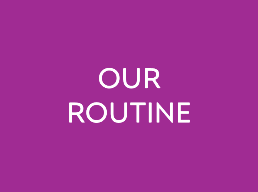 Our routine link