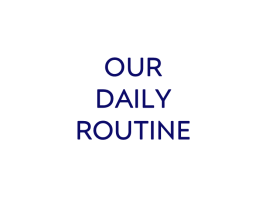 Our daily routine link